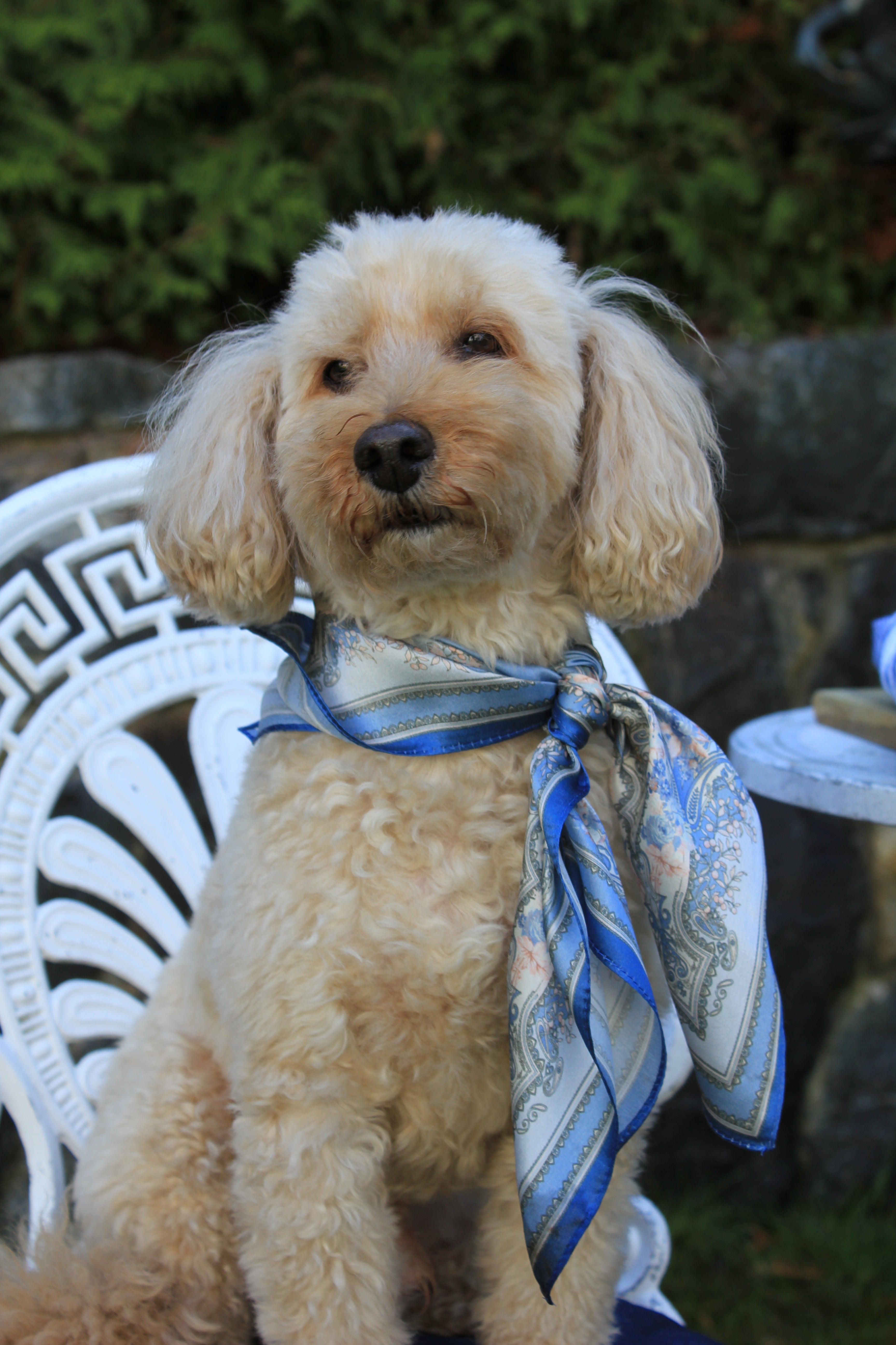 Ginevra Heritage Scarf - Silk